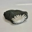 Chrysanthemum Stone Sale