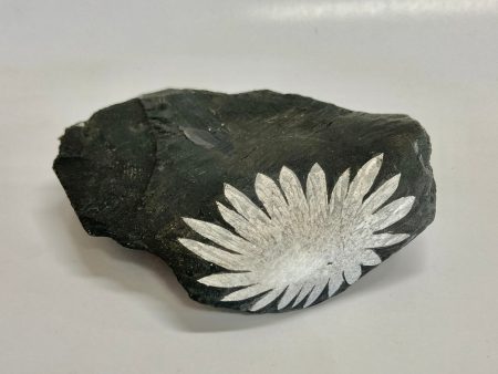 Chrysanthemum Stone Sale