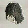 Chrysanthemum Stone Sale