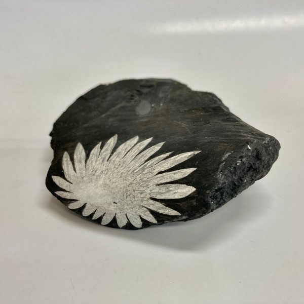 Chrysanthemum Stone Sale