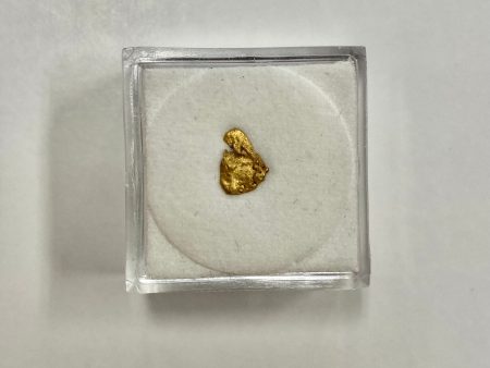 Alaska-Yukon Gold Nugget Discount